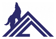 Accident Insurance Company logo