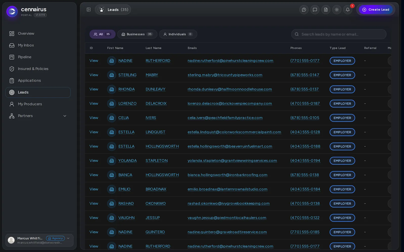 The Leads page, listing every lead sent so far.