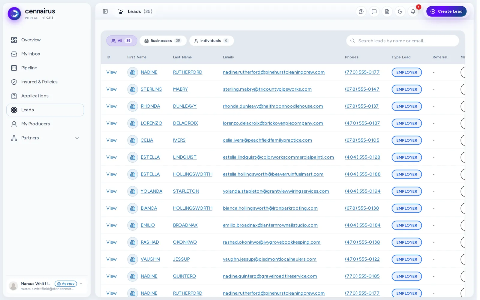 The Leads page, listing every lead sent so far.