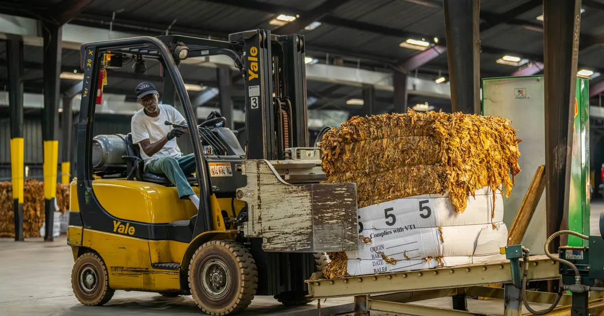 Forklift operator transporting packaged material in an industrial warehouse, showcasing logistics and industry work. a forklift driver is loading a pallet of wood